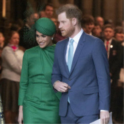 The Duke and Duchess of Sussex given VVIP status by Dutch police