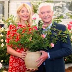 Holly Willoughby and Phillip Schofield unveil the This Morning rose