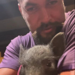 Jason Momoa has adopted a wild pig