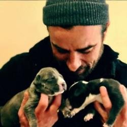 Justin Theroux cradles puppies (c) Instagram 