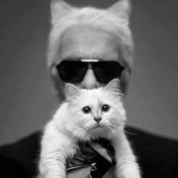 Choupette Lagerfeld and Karl Lagerfeld