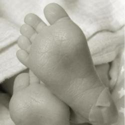 Katie Price posts picture of newborn daughter