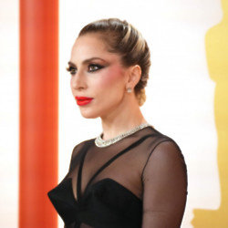 Lady Gaga has been named as a co-chair of President Biden's Arts and Humanities Committee