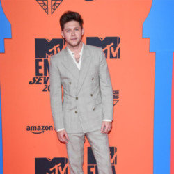 Niall Horan to miss US TV appearance