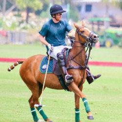 Prince Harry fell off his horse during a polo game