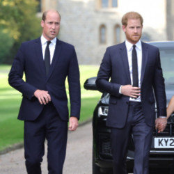 Prince Harry found Prince William's hair loss alarming