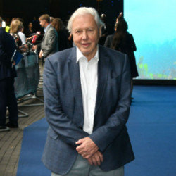 Sir David Attenborough stops himself from talking too much on his nature shows because the animals are the true stars