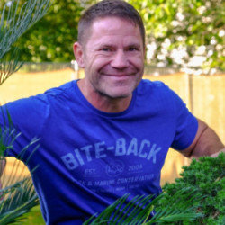 Steve Backshall reveals that the sting from some bullet ants left him reeling in pain and 'lapsing in and out of consciousness'
