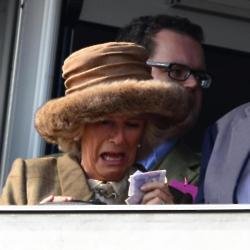 The Duchess of Cornwall at the races