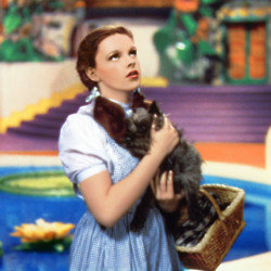 'The Wizard of Oz'