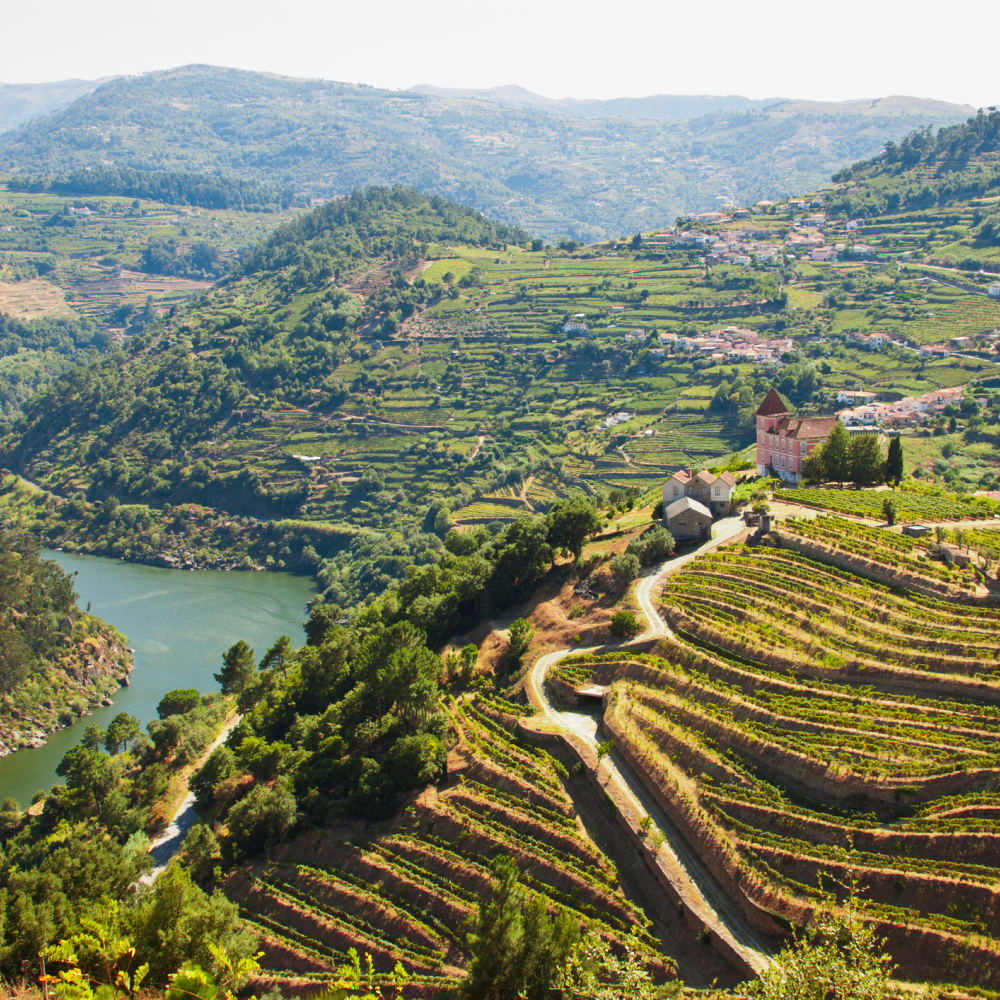 Portugal's Douro Valley (iStock/PA)
