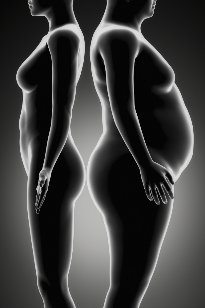 Do you know the difference between brown and white fat?