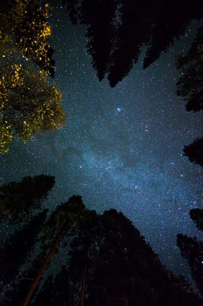 Stars in the sky are a beautiful sight / Picture Credit: Unsplash