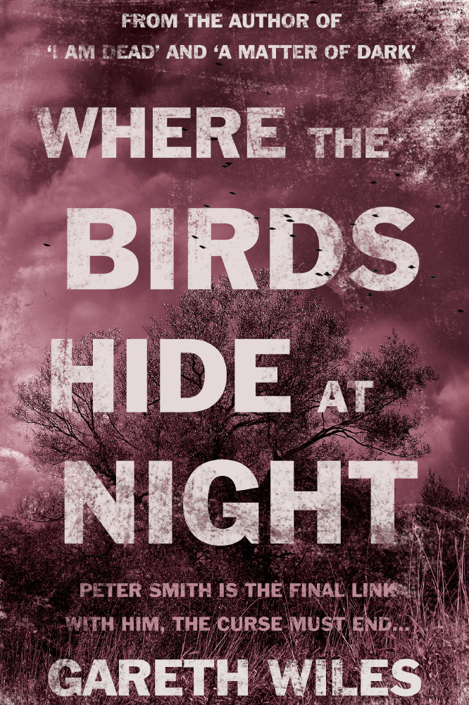Where the Birds Hide at Night 
