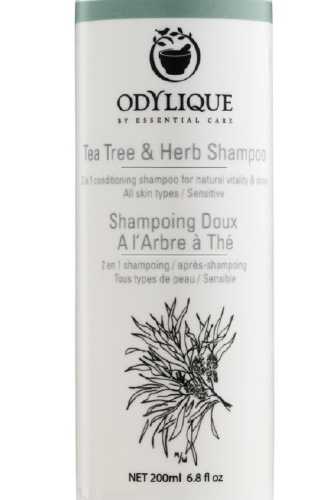 Odylique Shampoo