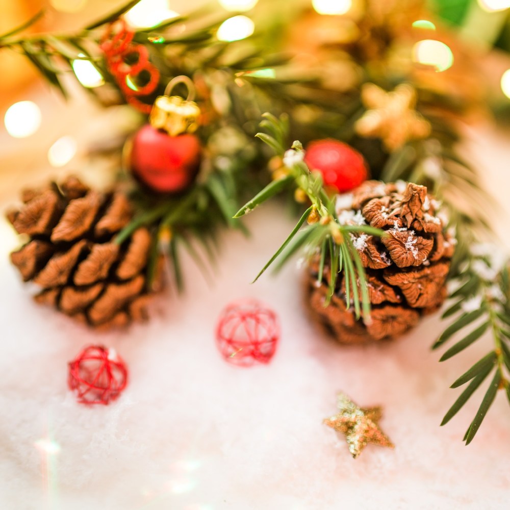 Make this Christmas one to remember / Photocredit: Pixabay
