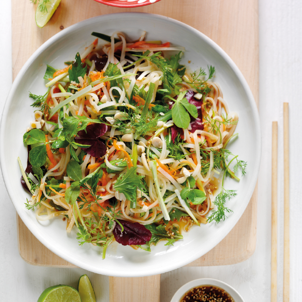 Vietnamese Rice Noodle and Coriander Salad