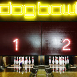 Dog Bowl 