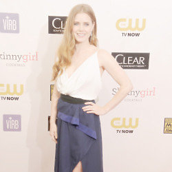 Amy Adams simple Vionnet gown was simply beautiful