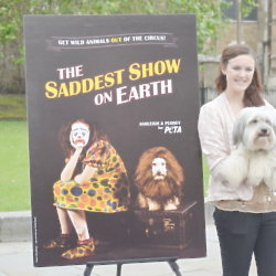Ashleigh and Pudsey are supporting PETA 