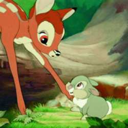 Bambi meets Thumper
