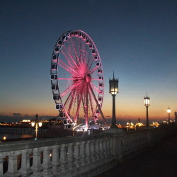The Brighton Wheel was illuminated pink last night