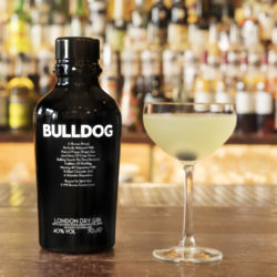 Bulldog Gin