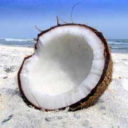 Have you been sipping on coconut water?
