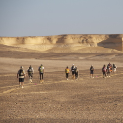 Desert Runners 