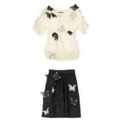 D&G Buttefly Blouse and Skirt