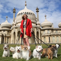 Take your dog to Brighton for a fun time away