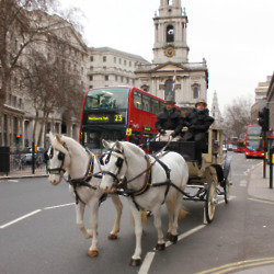 A private horse and carriage were organised 