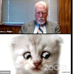 Lawyer appears as cat on Zoom call