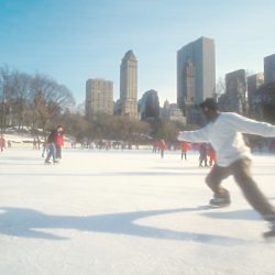 Skating in Central Park. Dreamy