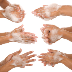 How often do you wash your hands?