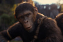 'Kingdom of the Planet of the Apes' took the CGI from 'Avatar 2' and went a step further