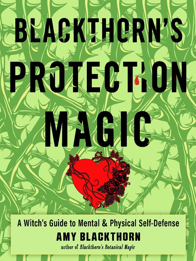 Blackthorn's Protection Magic by Amy Blackthorn / Image credit: Red Wheel/Weiser