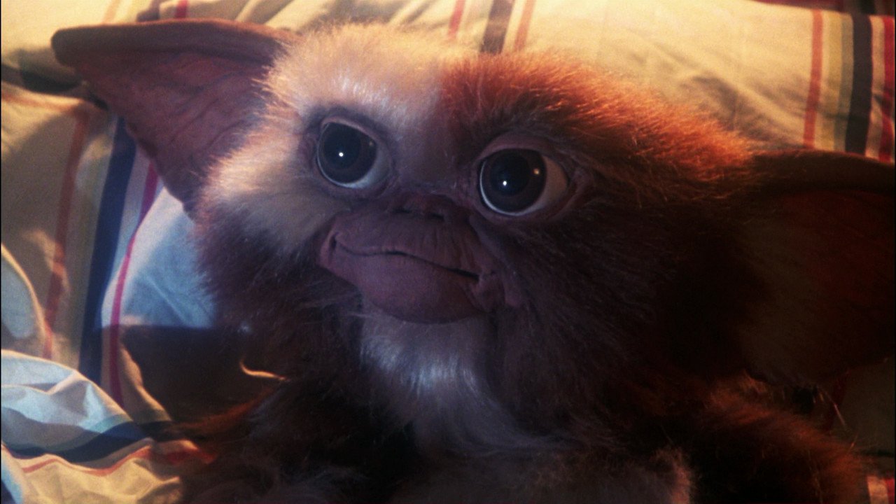 How can you not fall in love with that furry face? / Photo Credit: Warner Bros.