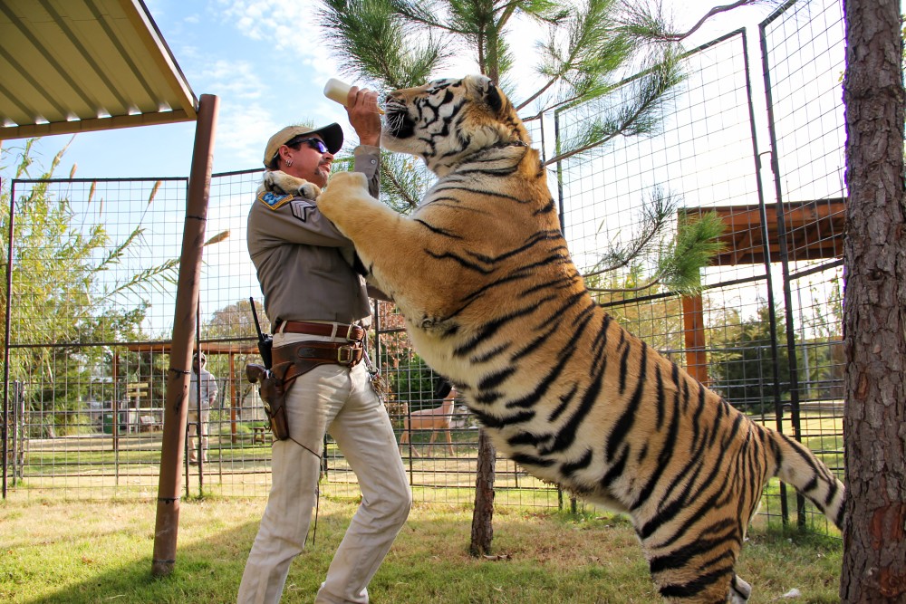Joe Exotic was one of 2020's biggest characters fronting the documentary series Tiger King / Picture Credit: Netflix