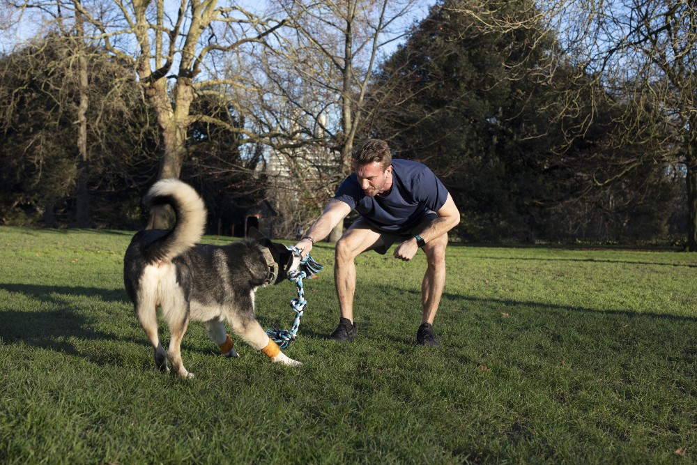 Some dogs love to play Tug of War - and this can be implemented as part of a workout!