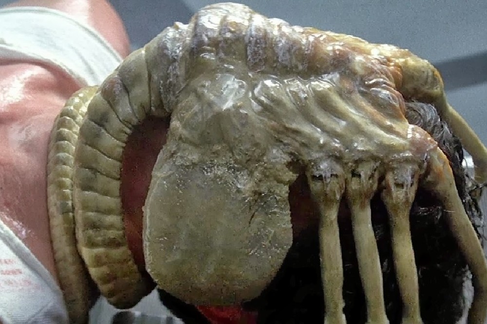 The 'face-hugger' / Picture Credit: 20th Century Studios