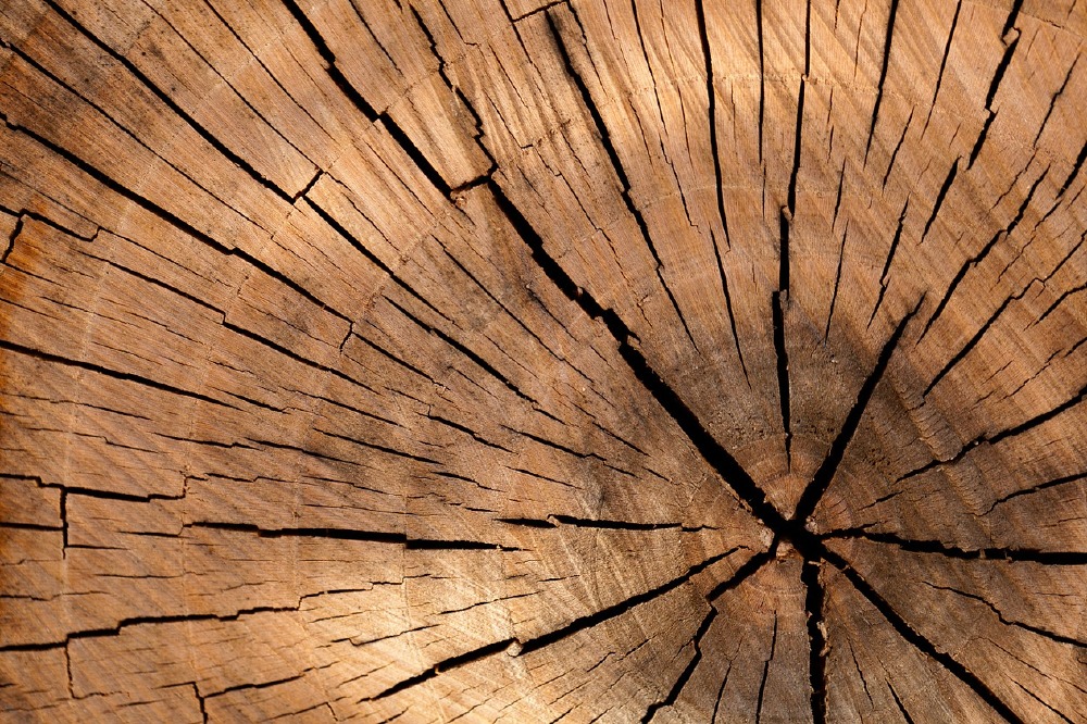 Wood is an insulator, holding heat seven times more effectively than ceramic tiles.