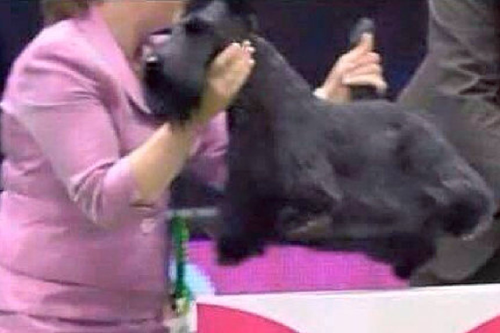 Rebecca Cross mishandled her dog at Crufts
