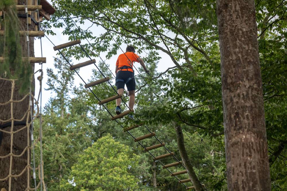 The tree top adventure trail