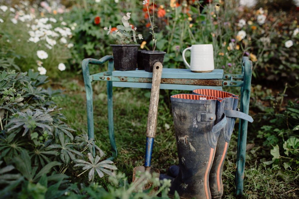 Tidy up your garden ahead of the colder months - Photo credit: Field Gate Flowers