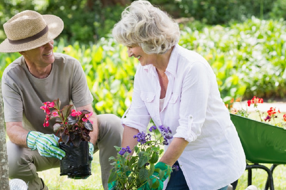 Gardening and dealing with joint pain