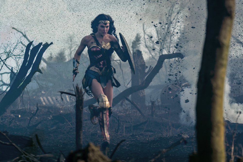 Diana shows no fear / Picture Credit: DC Films