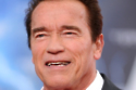 Arnold Schwarzenegger / Credit: FAMOUS