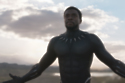 Chadwick Boseman as the brilliant Black Panther / Picture Credit: Disney