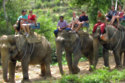 Elephant Trekking in Thailand